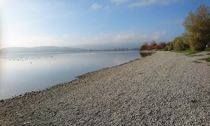 Seebar am Konzertsegel